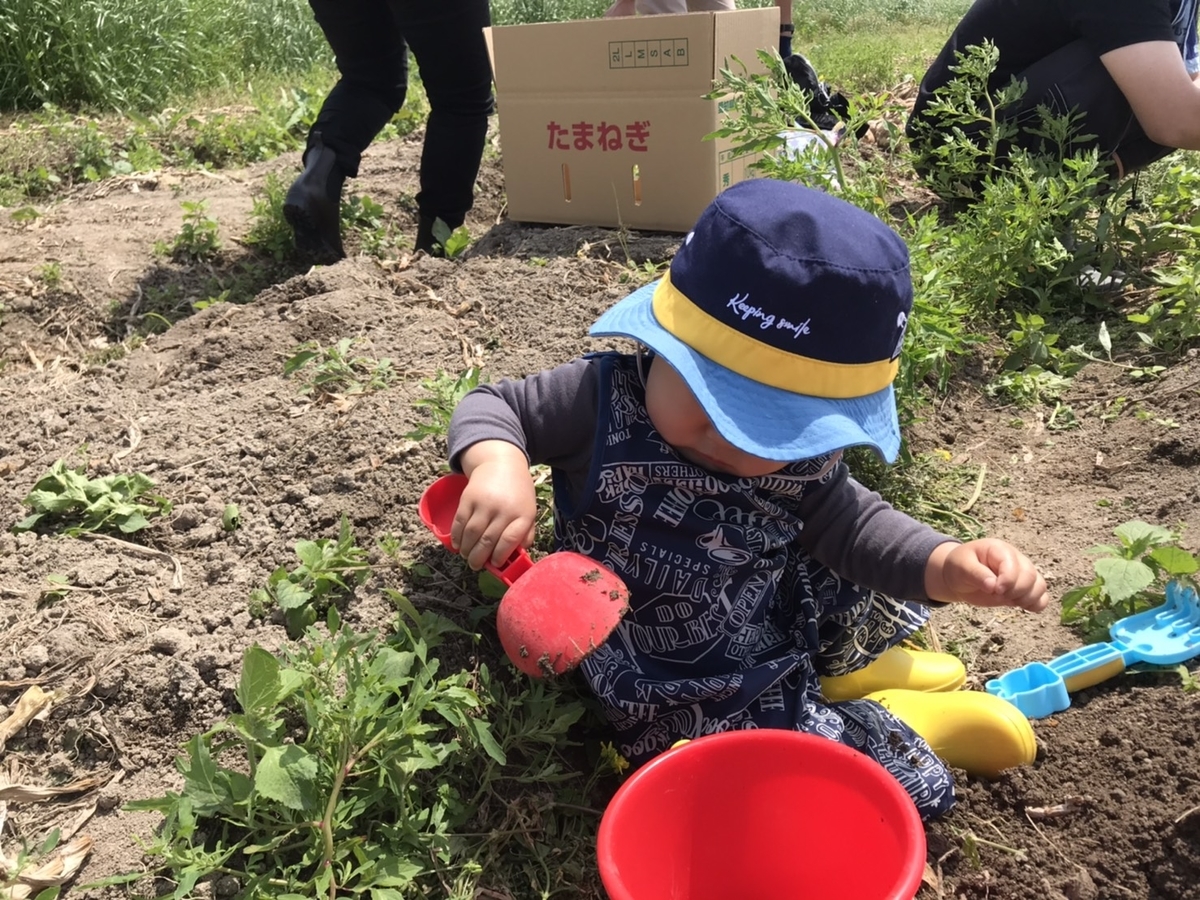 f:id:meguharuo:20210515175351j:plain
