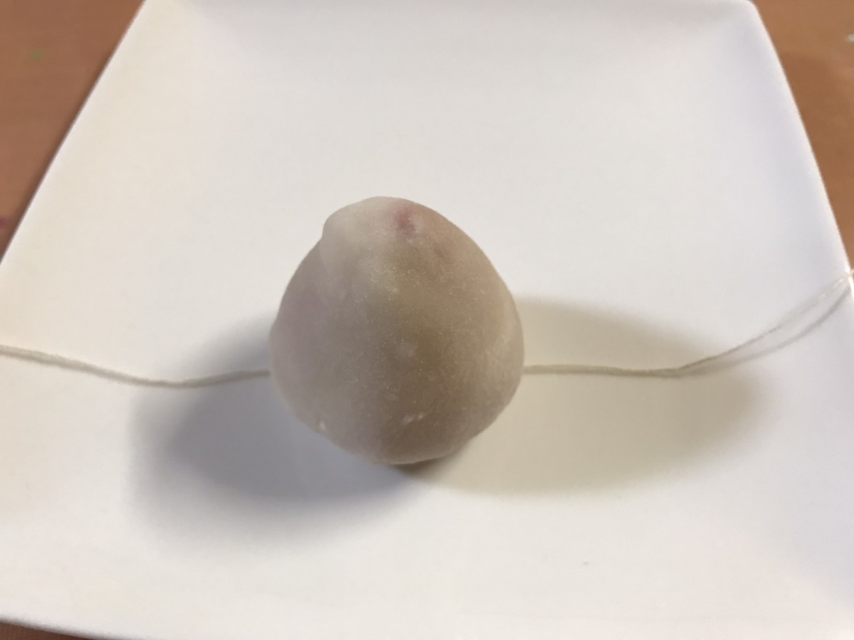 f:id:meguharuo:20210518151032j:plain