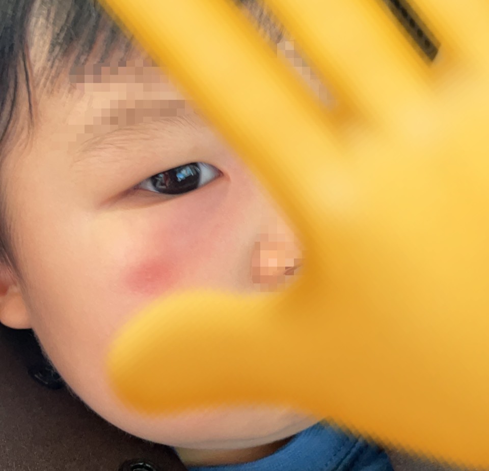 f:id:meguharuo:20210602230102j:plain