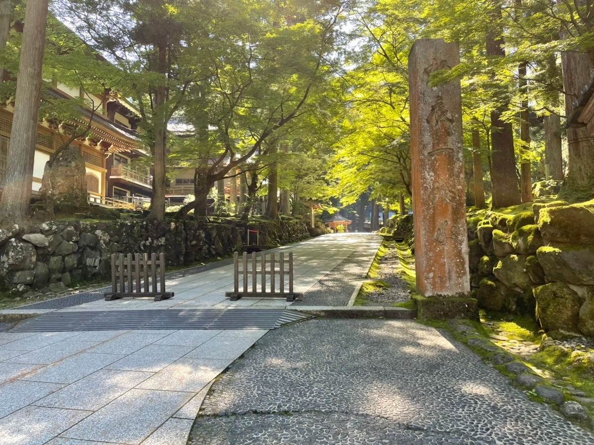 f:id:meguharuo:20210819151619j:plain