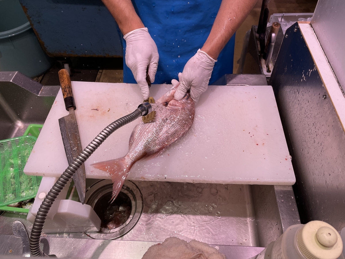 【堀太郎】　養魚場の春 魚太郎名物！激安な朝一の鮮魚バケツ盛りを買いにいってきた！魚太郎