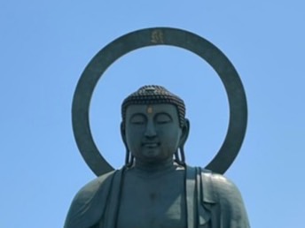 f:id:meguharuo:20211003150527j:plain
