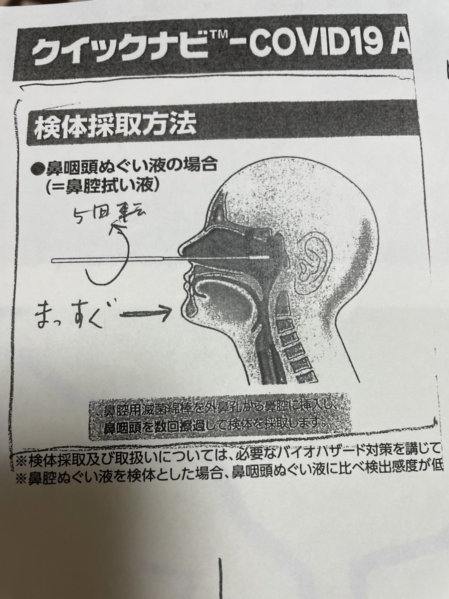 f:id:meguharuo:20211014065332j:plain