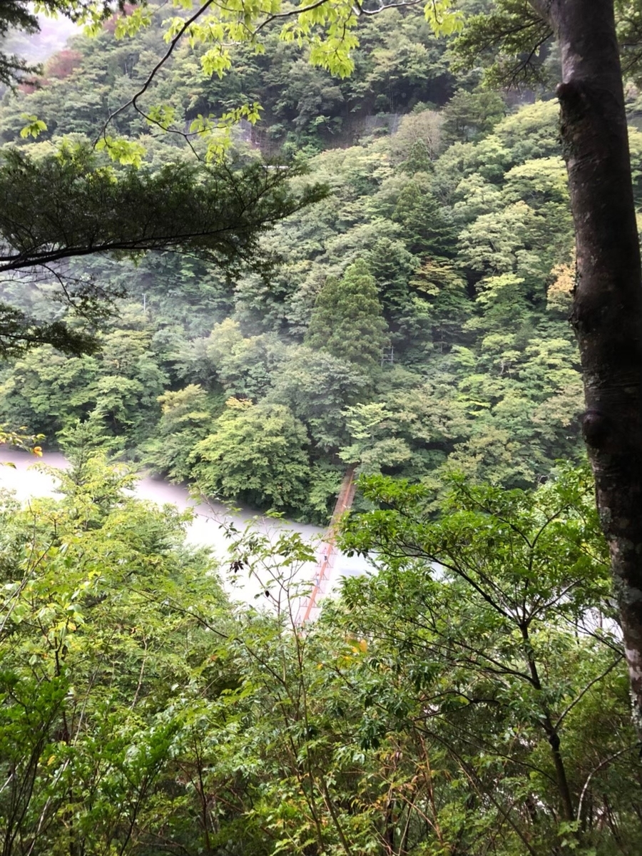 f:id:meguharuo:20211029161123j:plain