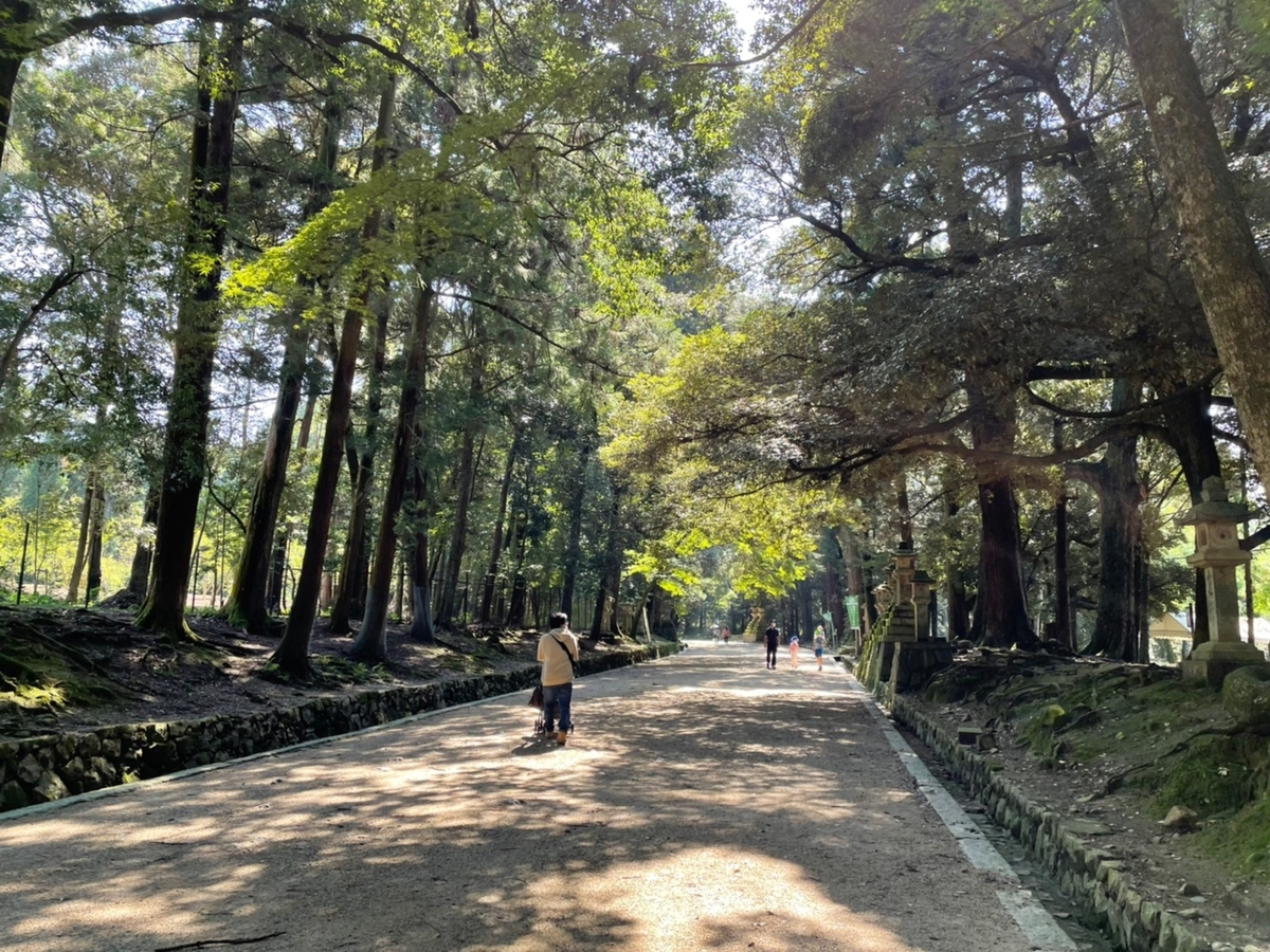 f:id:meguharuo:20211116234104j:plain