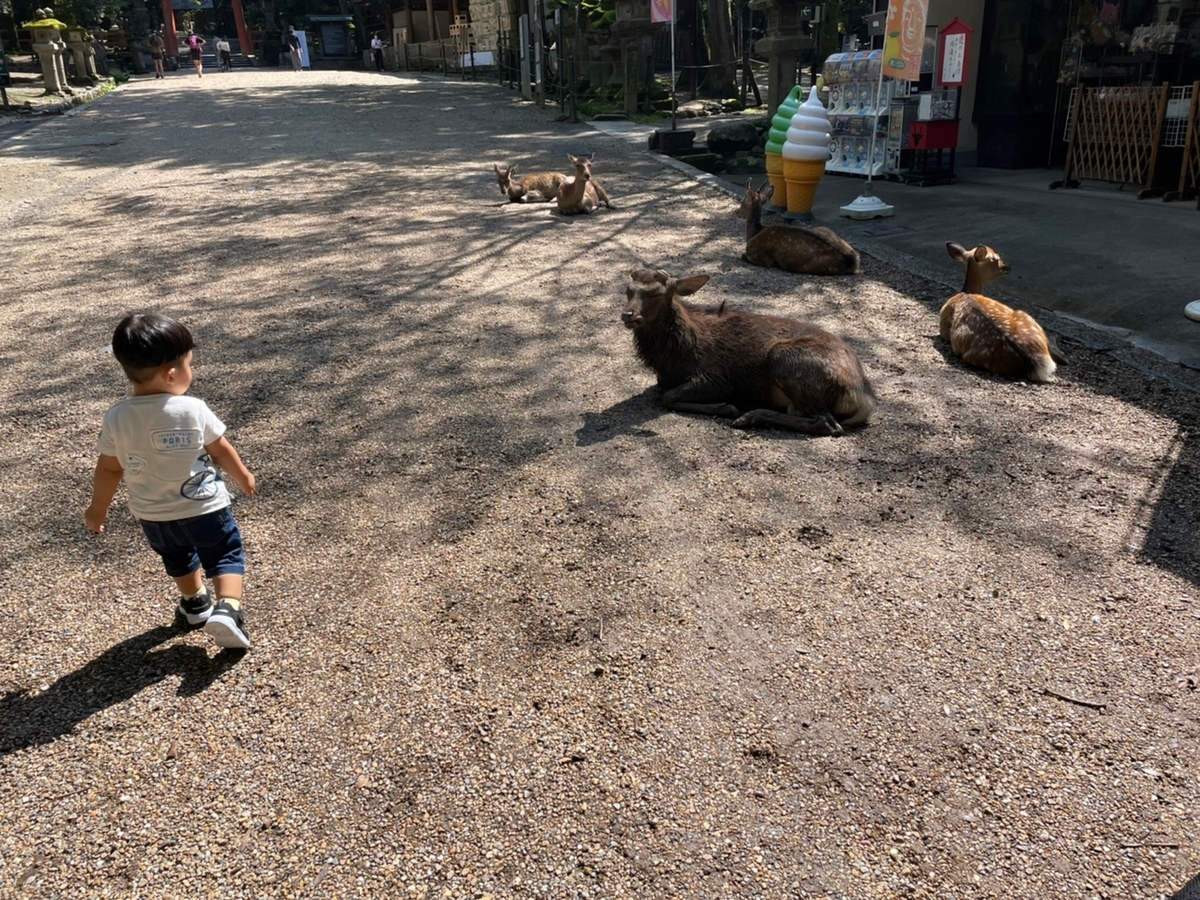 f:id:meguharuo:20211116234313j:plain