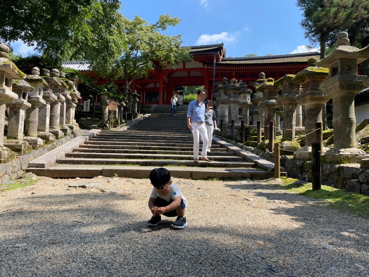 f:id:meguharuo:20211117113839j:plain