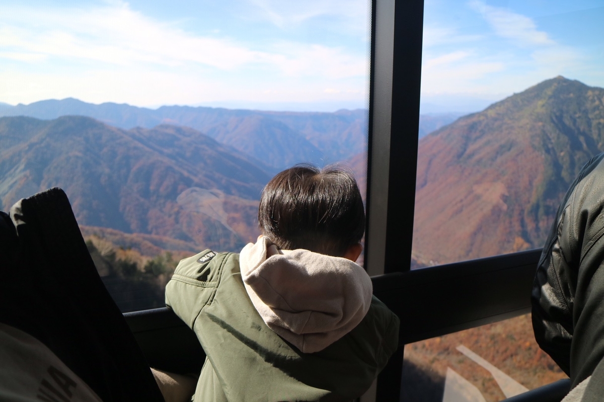 f:id:meguharuo:20211124165302j:plain