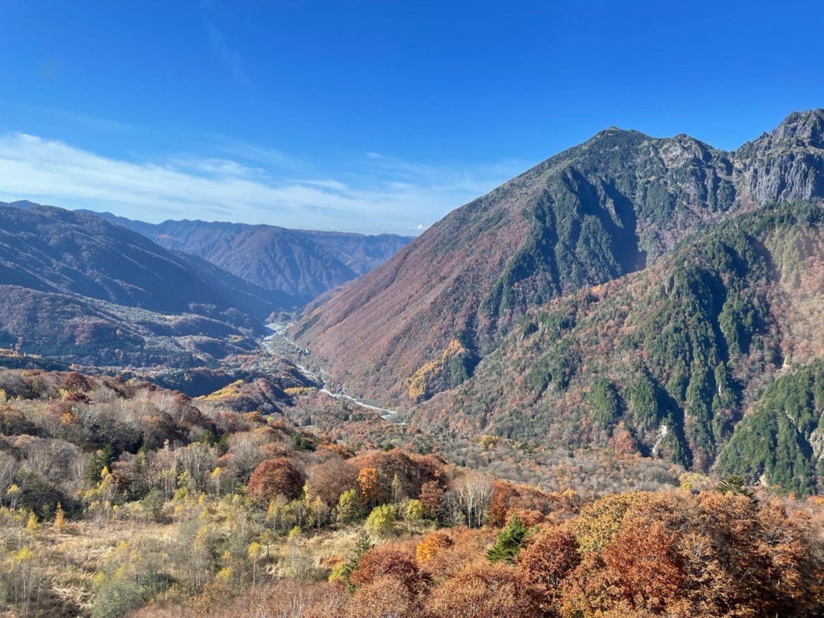 f:id:meguharuo:20211124165327j:plain