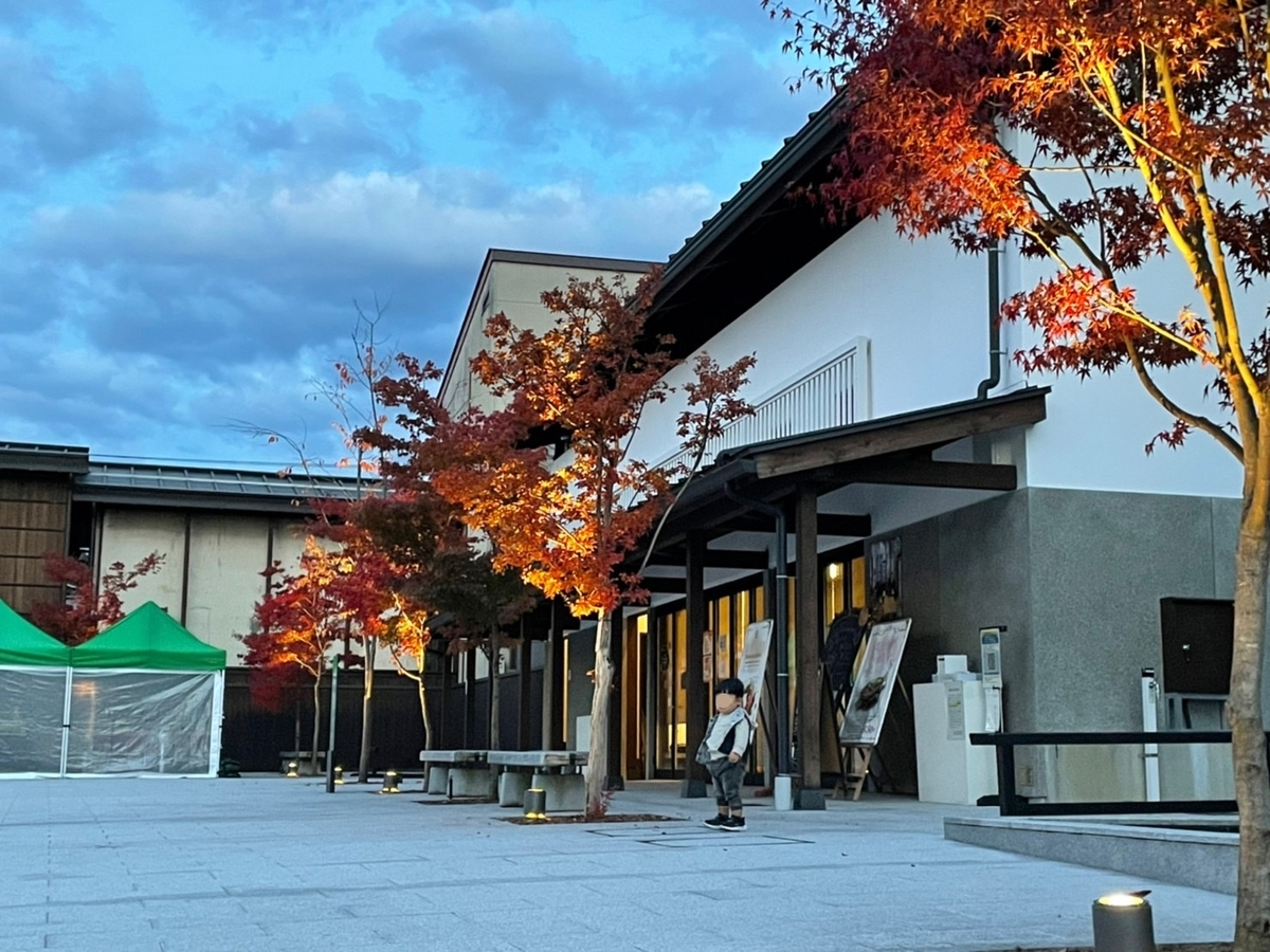 f:id:meguharuo:20211208145319j:plain