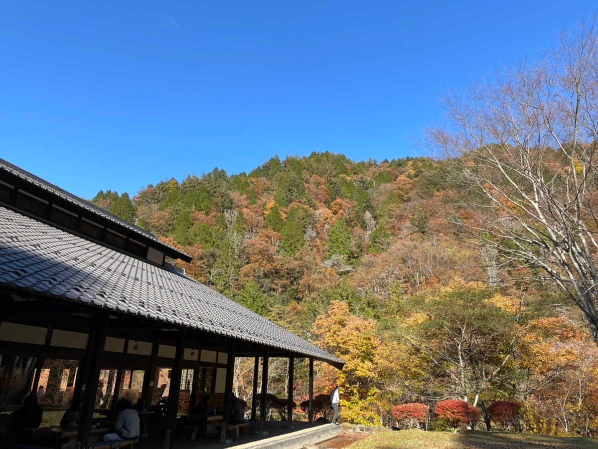 f:id:meguharuo:20211226161133j:plain