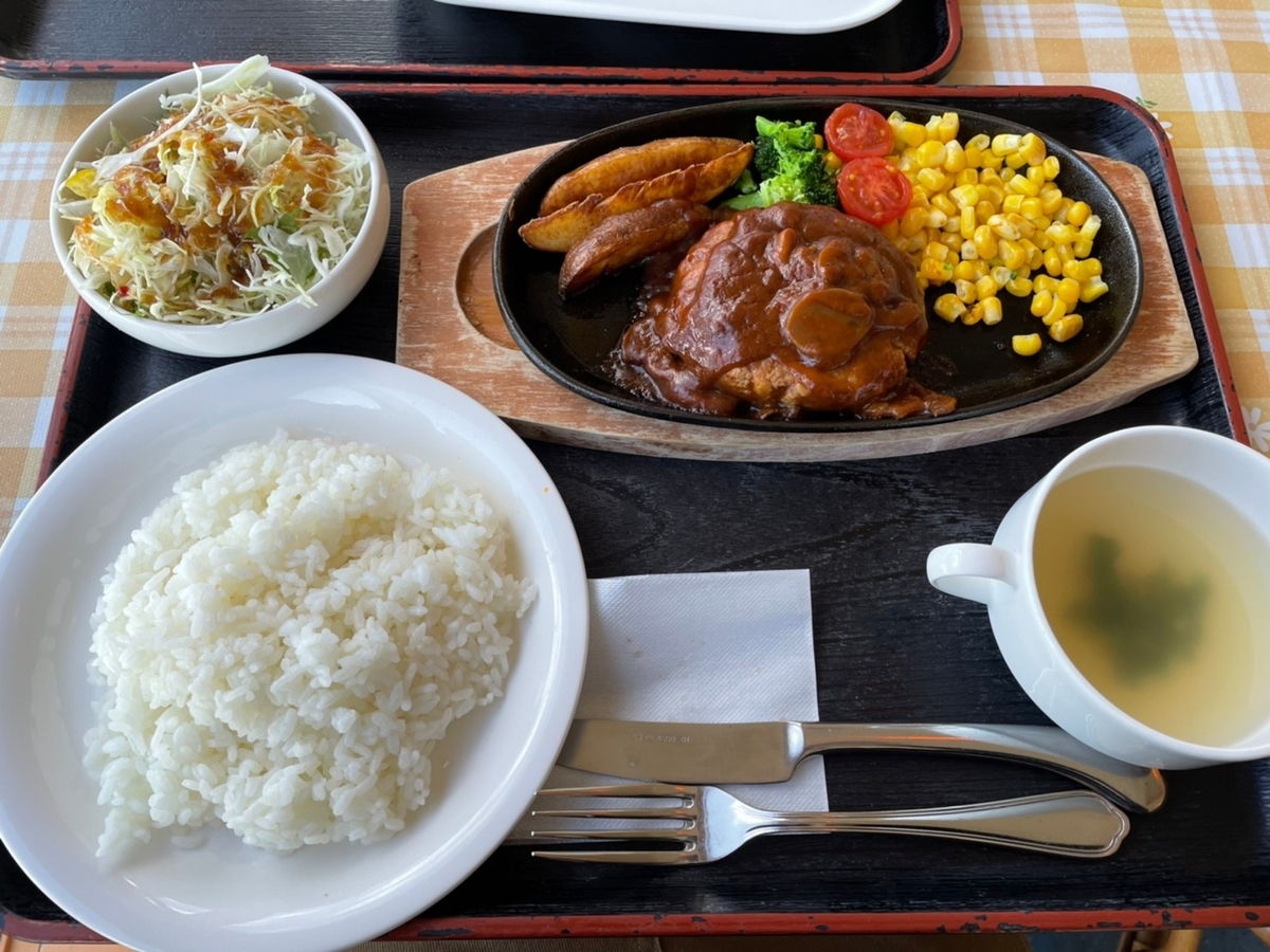 f:id:meguharuo:20220128150522j:plain