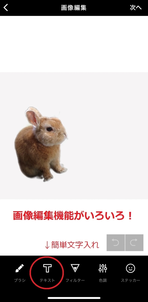 f:id:meguharuo:20220324001525j:plain