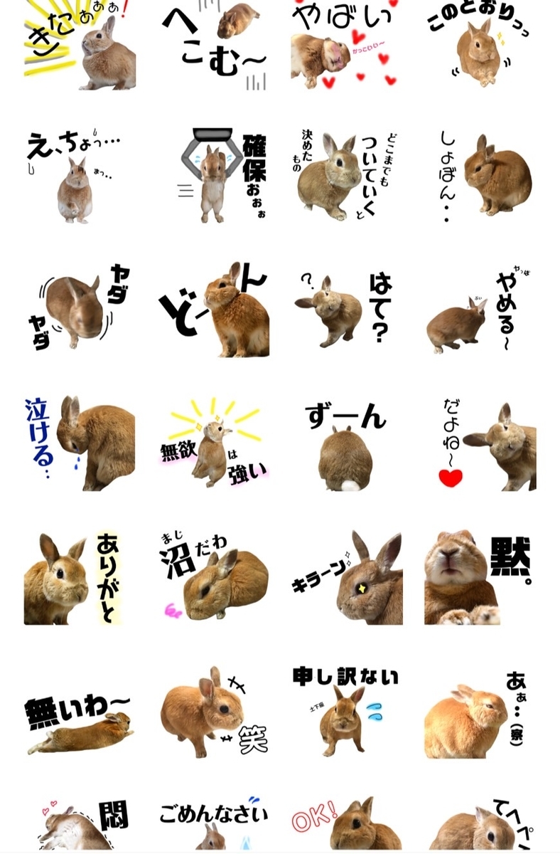 f:id:meguharuo:20220325231931j:plain
