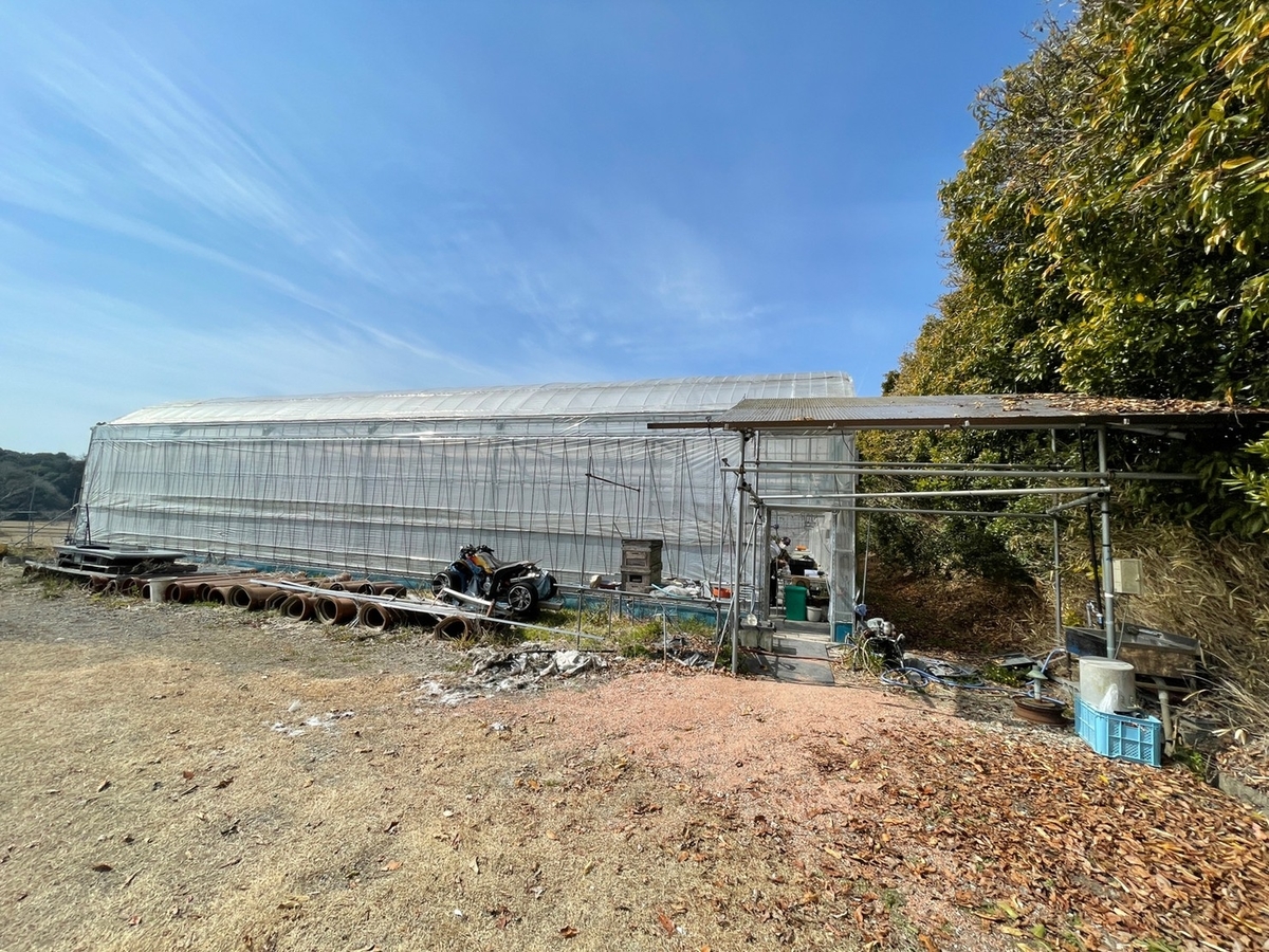 赤ちゃん・子ども連れで行ける知多半島のいちご狩りスポット・愛知県常滑市のタニカワ農園のいちごハウス