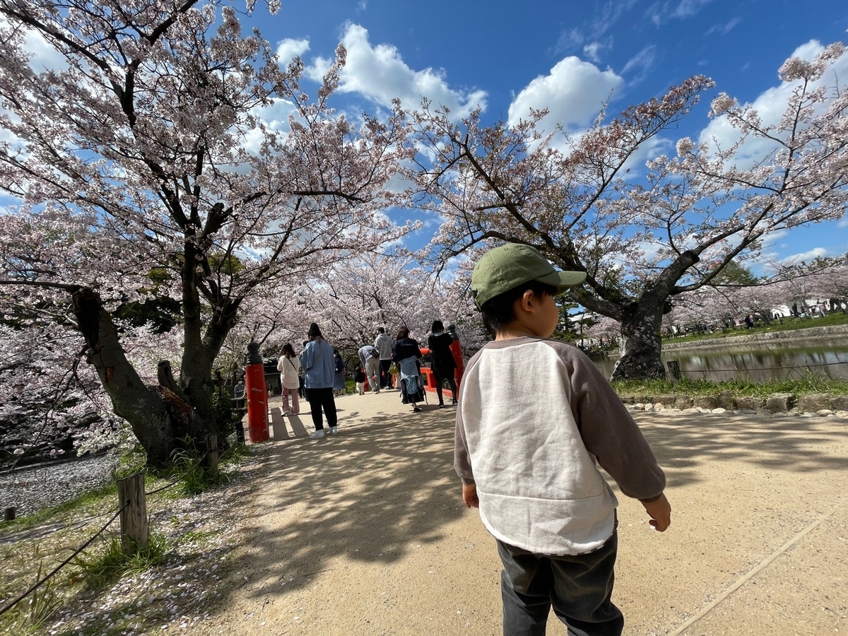 f:id:meguharuo:20220404145426j:plain