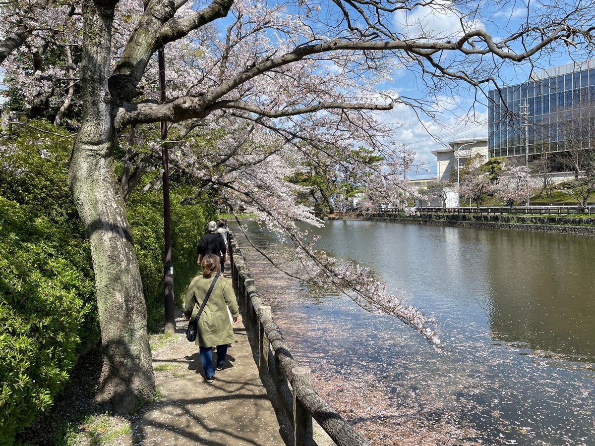 f:id:meguharuo:20220404152126j:plain