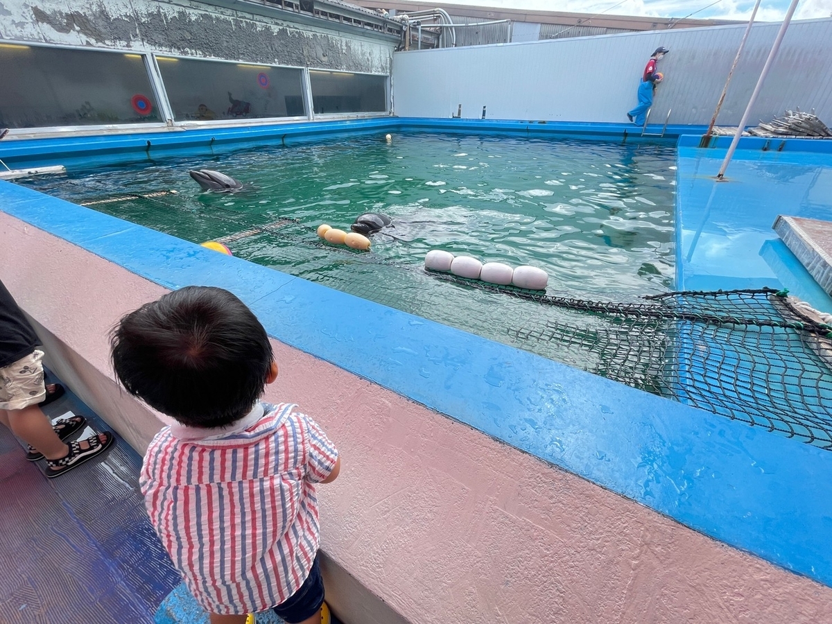 三重県伊勢市二見町にある伊勢シーパラダイスの海獣広場にあるイルカプール