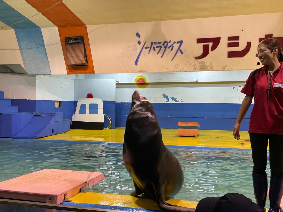 三重県伊勢市二見町にある伊勢シーパラダイスで行われたアシカショー