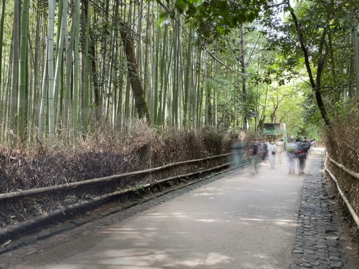 京都嵐山の竹林の小径