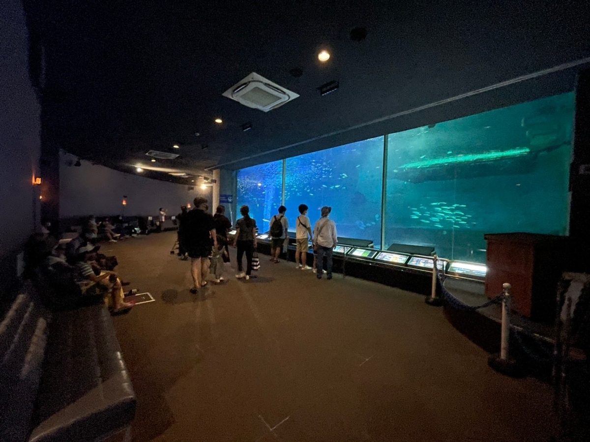 愛知県南知多町にある南知多ビーチランドの大型水槽