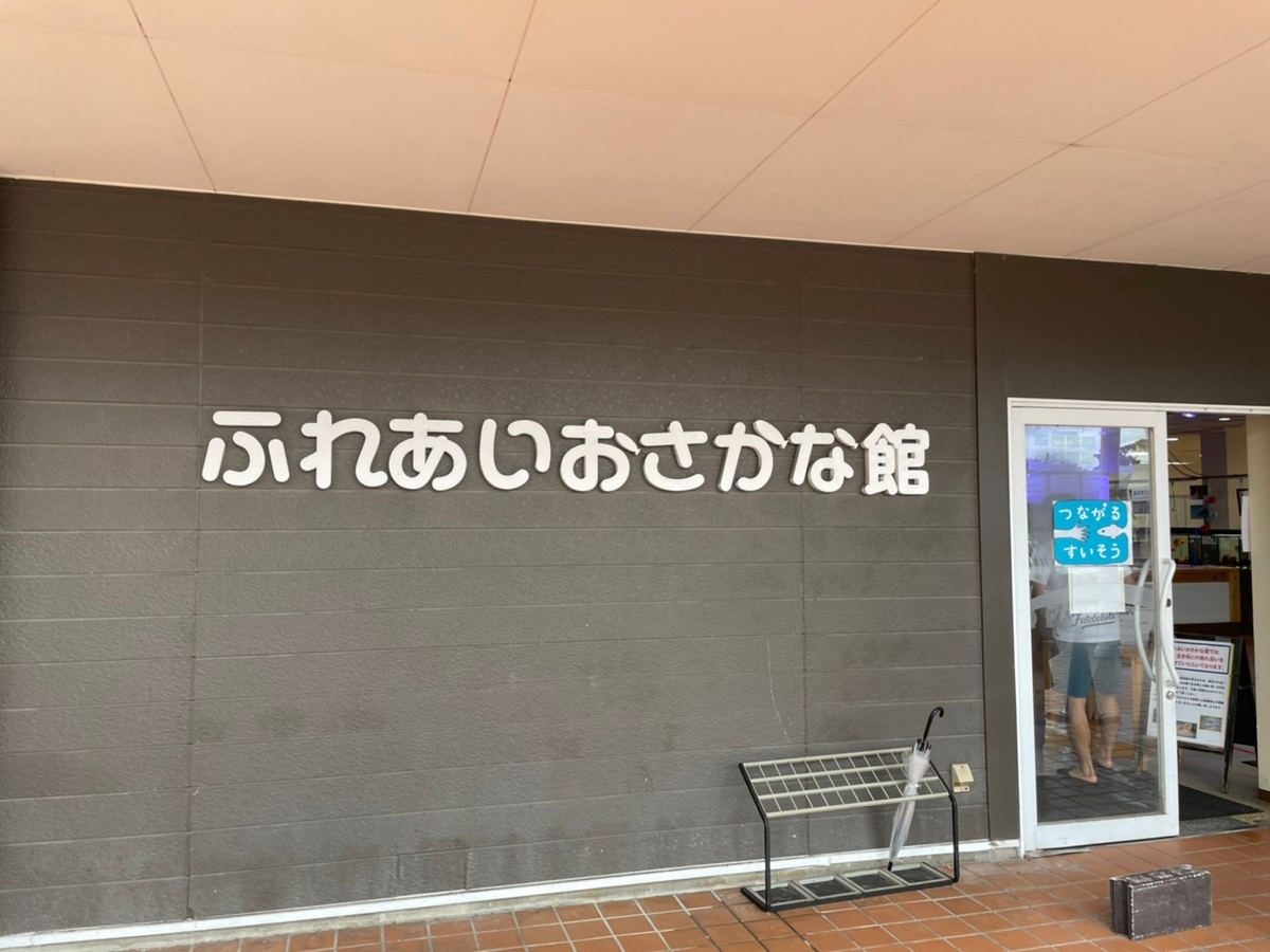 愛知県南知多町にある南知多ビーチランドのいろいろな魚にエサやり体験ができるふれあいおさかな館