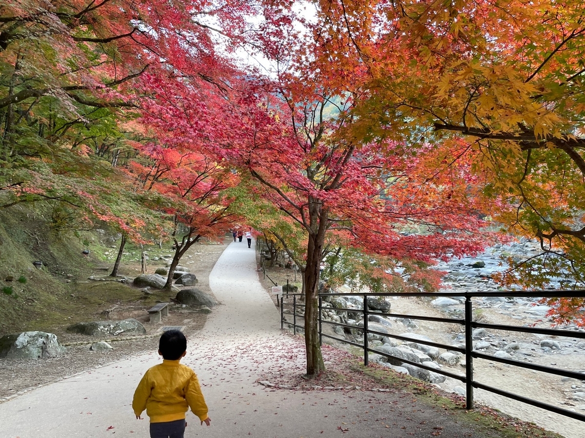 愛知県豊田市の香嵐渓の早朝の様子