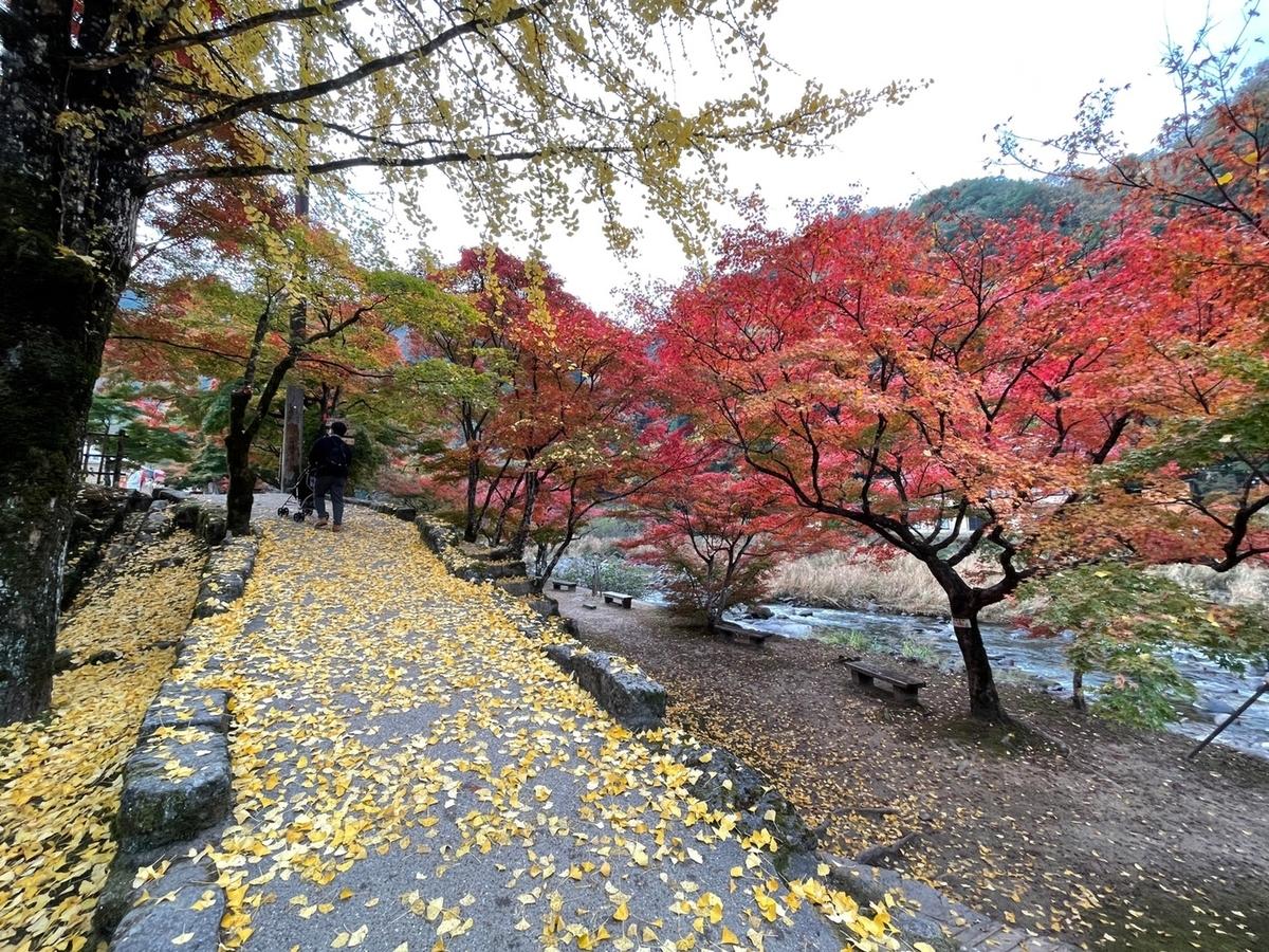 愛知県豊田市の香嵐渓の様子