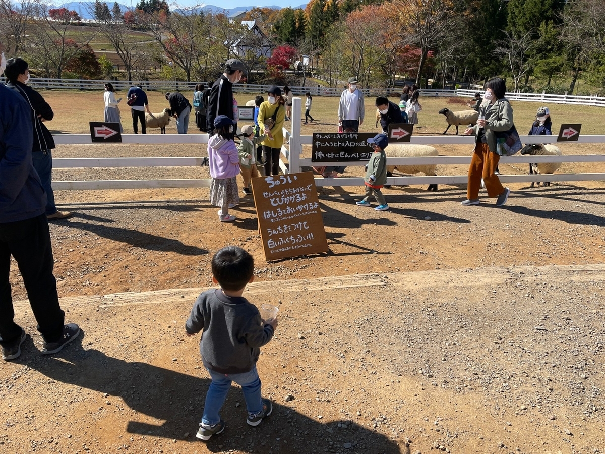 岐阜県郡上市にあるひるがの高原「牧歌の里」の動物ふれあい体験・エサやり体験の様子