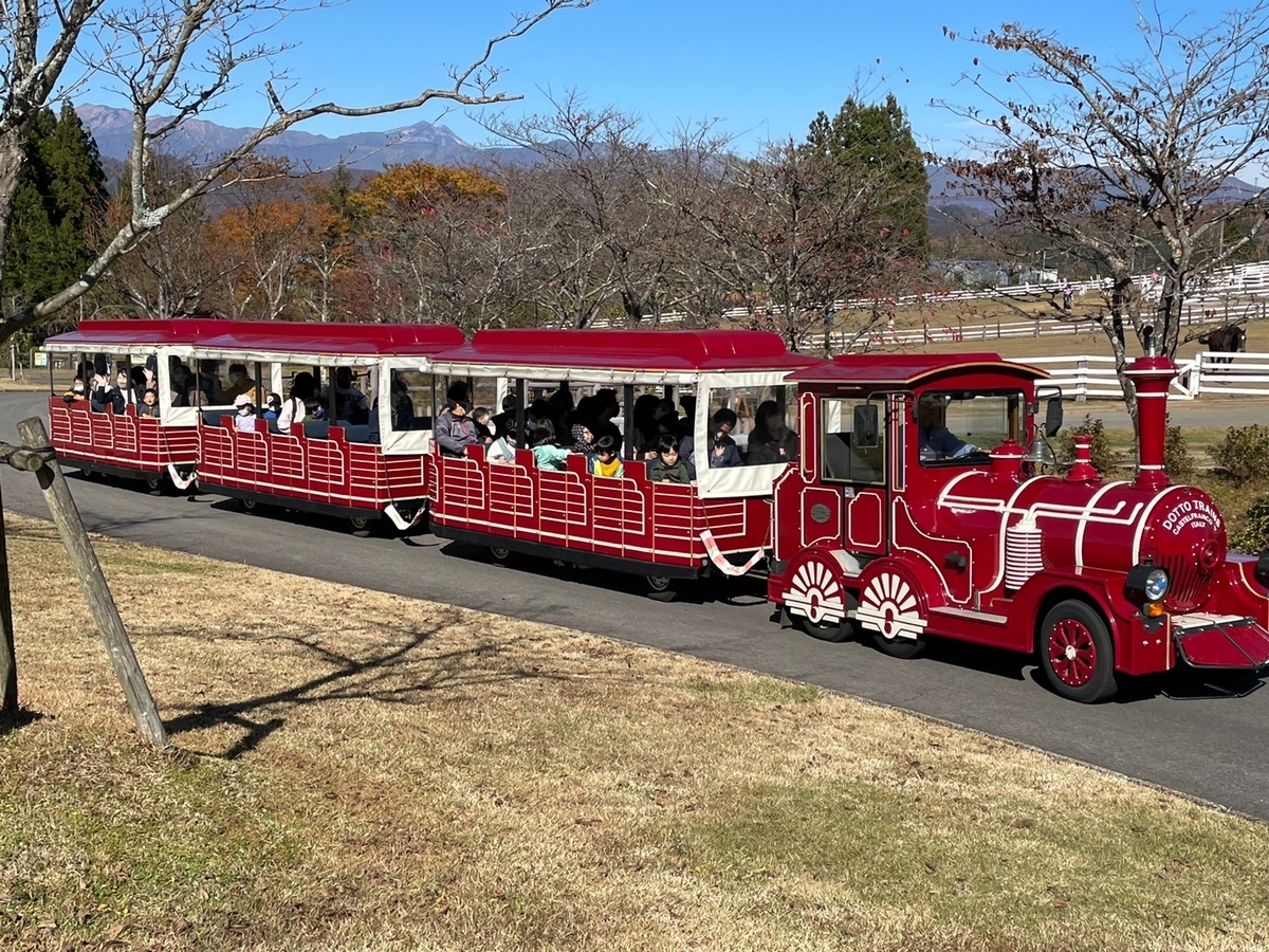 岐阜県郡上市のひるがの高原「牧歌の里」の園内を走る電車型の乗り物、トードトレイン