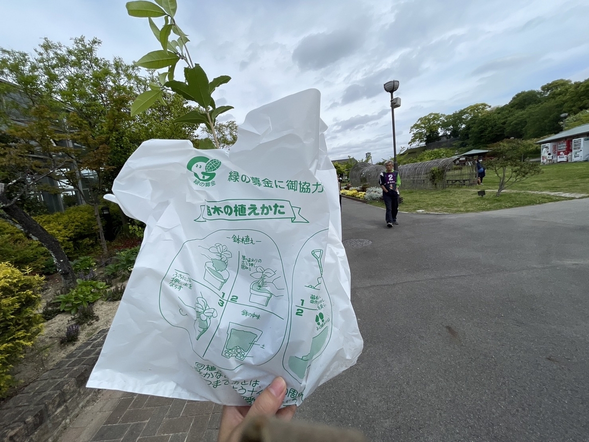 知多市にある花と緑のふれあい公園で行われた緑化木配布会で配布された金木犀の苗木