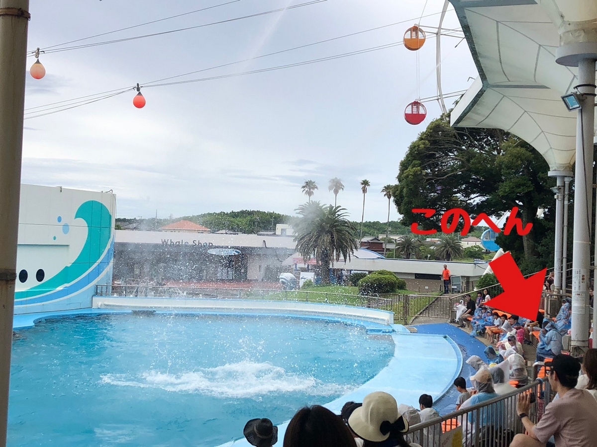 南知多ビーチランドのイルカショーが行われるイルカスタジアム