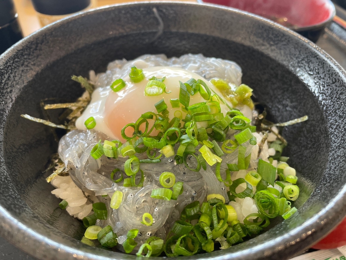 赤ちゃんや子ども連れでランチができる南知多町のマル伊商店の生しらす丼