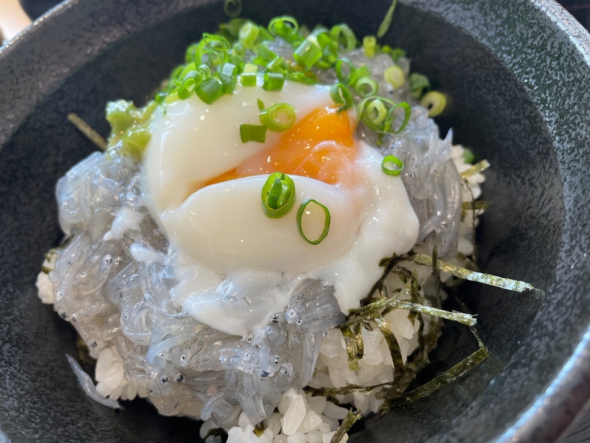 赤ちゃんや子ども連れでランチができる南知多町のマル伊商店の生しらす丼