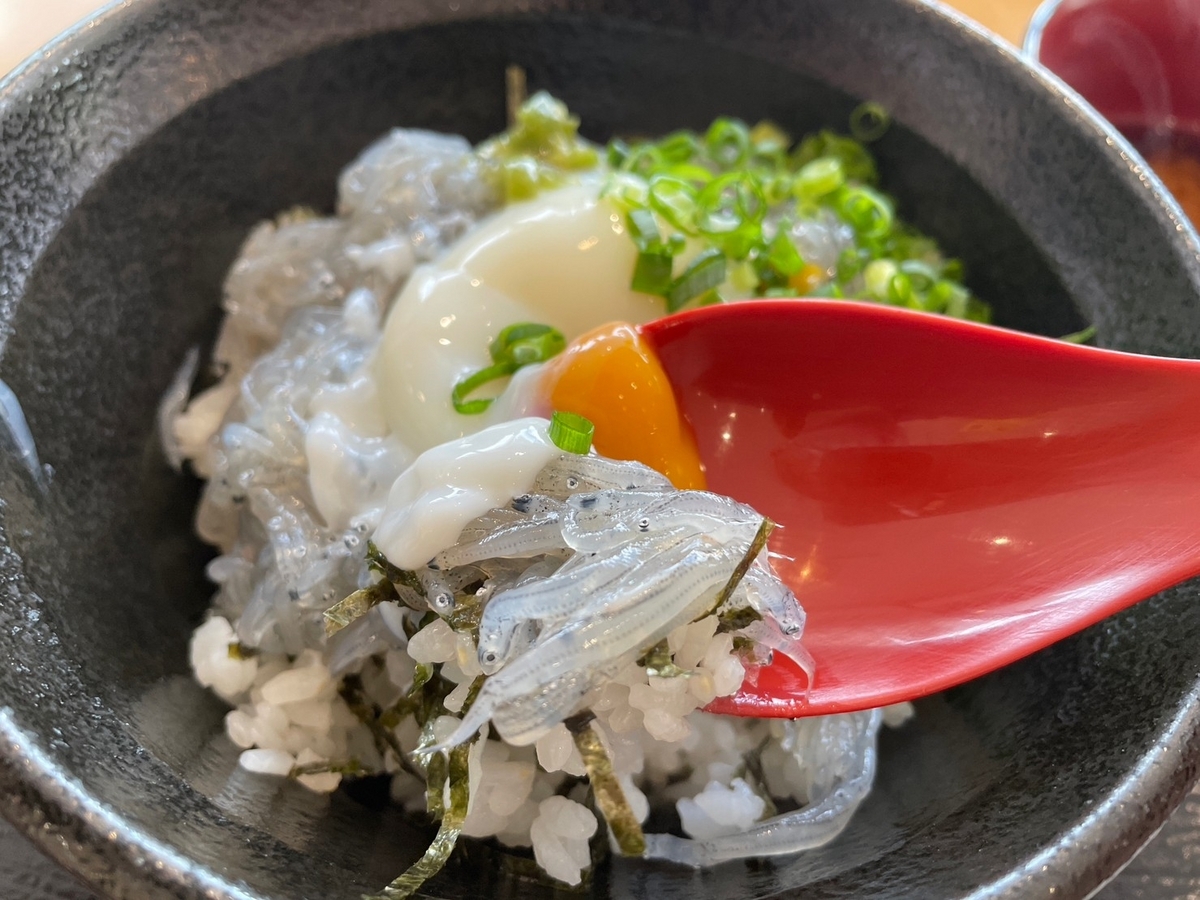 赤ちゃんや子ども連れでランチができる南知多町のマル伊商店の生しらす丼