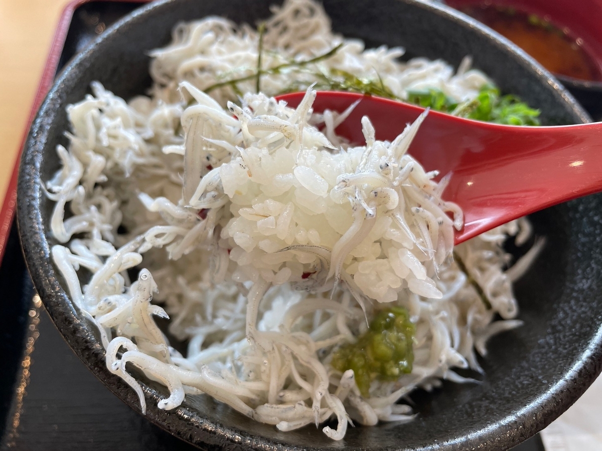 赤ちゃんや子ども連れでランチができる南知多町のマル伊の釜揚げしらす丼