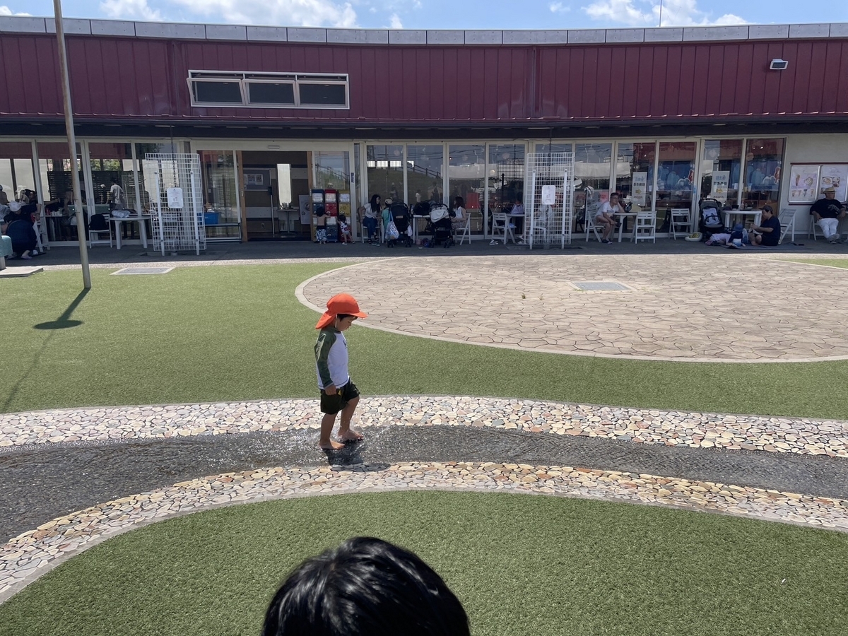 子どもの遊び場として人気の大府市にあるすくすくヶ丘で水遊びを楽しむ男児