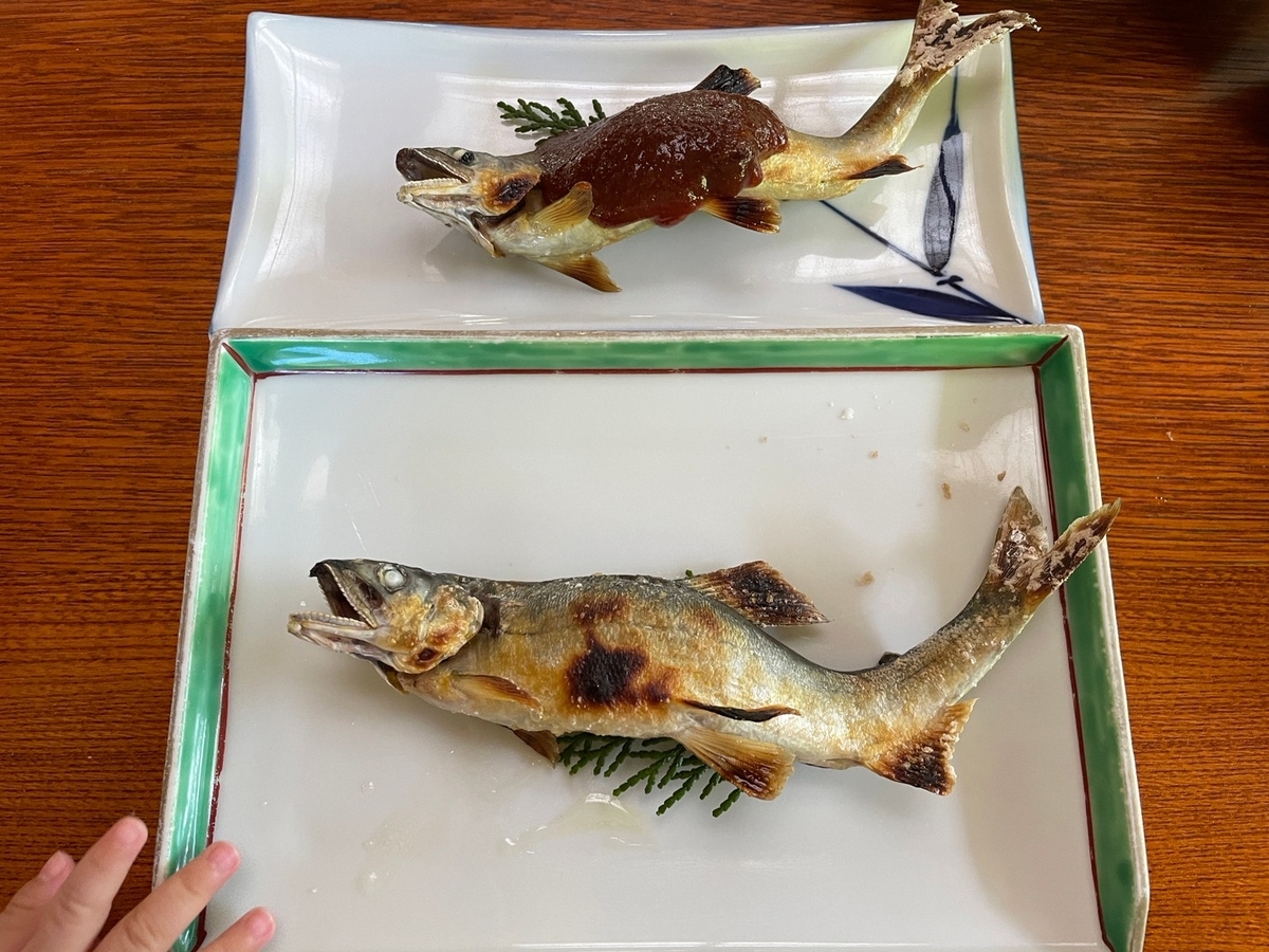 愛知県新城市にある人気の鮎料理店「鳳城苑」の鮎コース料理・塩焼きと田楽