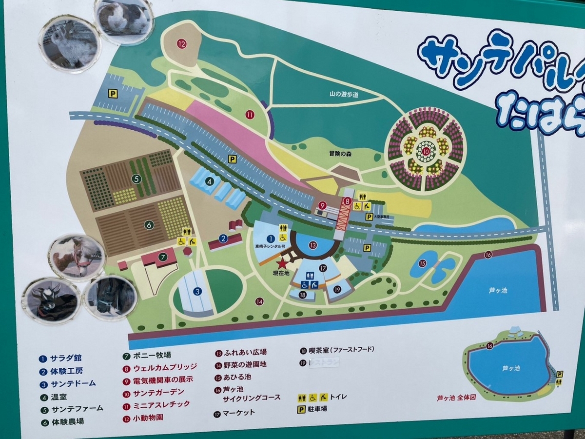 愛知県田原市にある子どもが遊べる遊具や動物と触れ合える農業体験公園「サンテパルクたはら」の園内マップ