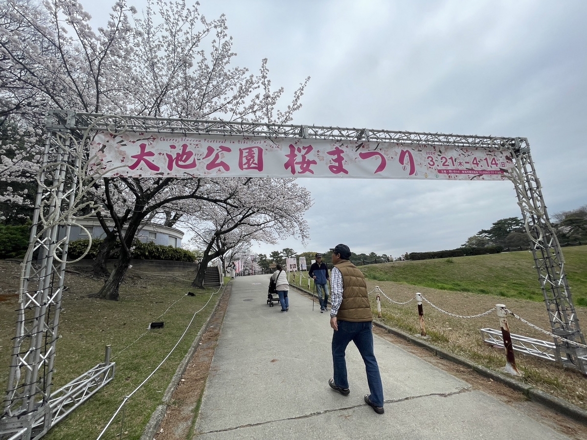 知多半島の桜の名所2024・東海市の大池公園桜まつりの様子