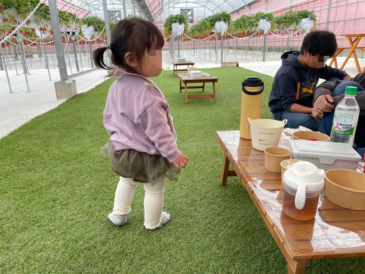 知多半島のいちご狩りレポ｜芝生があって赤ちゃんや子どもも安心な武豊町のいちご狩り「苺舎」の芝生エリアと赤ちゃん