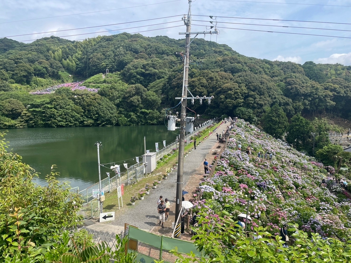 愛知県蒲郡市にあるあじさいのスポット「形原温泉あじさいの里」