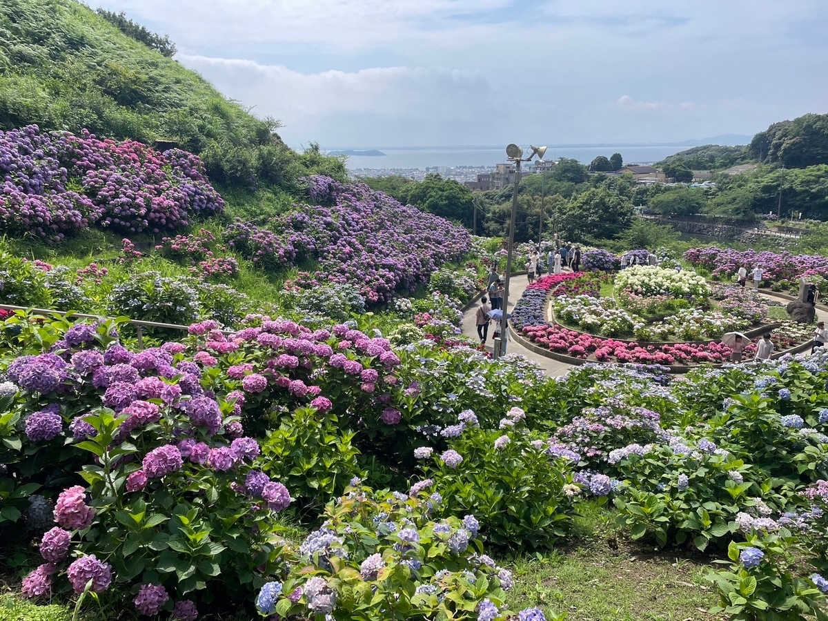 愛知県蒲郡市にあるあじさいのスポット「形原温泉あじさいの里」のあじさいパーク