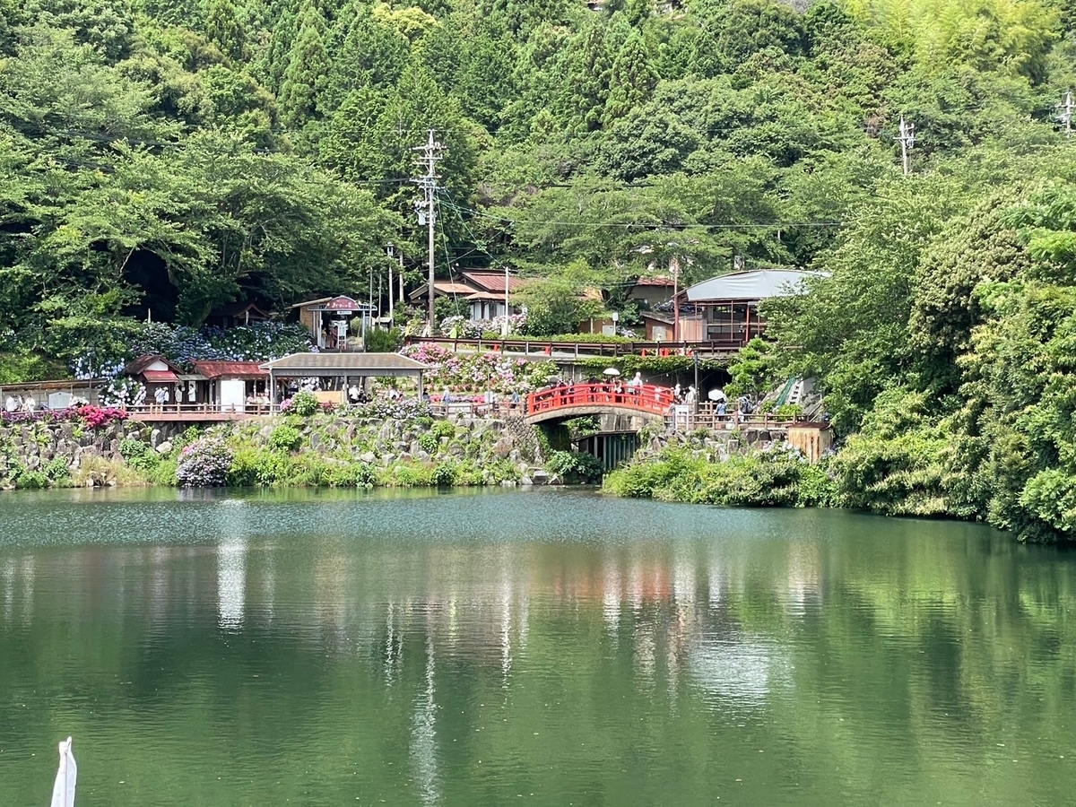 愛知県蒲郡市にあるあじさいのスポット「形原温泉あじさいの里」のあじさいパーク