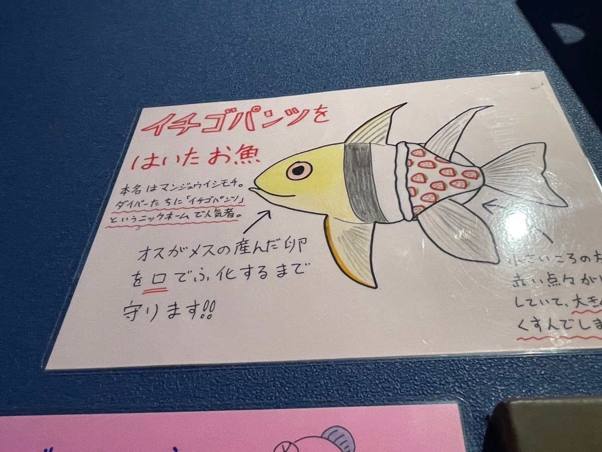 愛知県蒲郡市にある竹島水族館のユニークなポップ