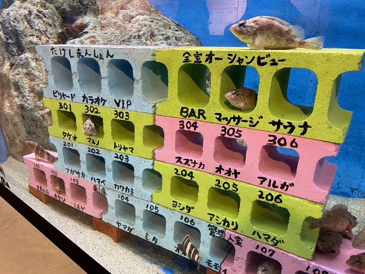 愛知県蒲郡市にある竹島水族館の展示