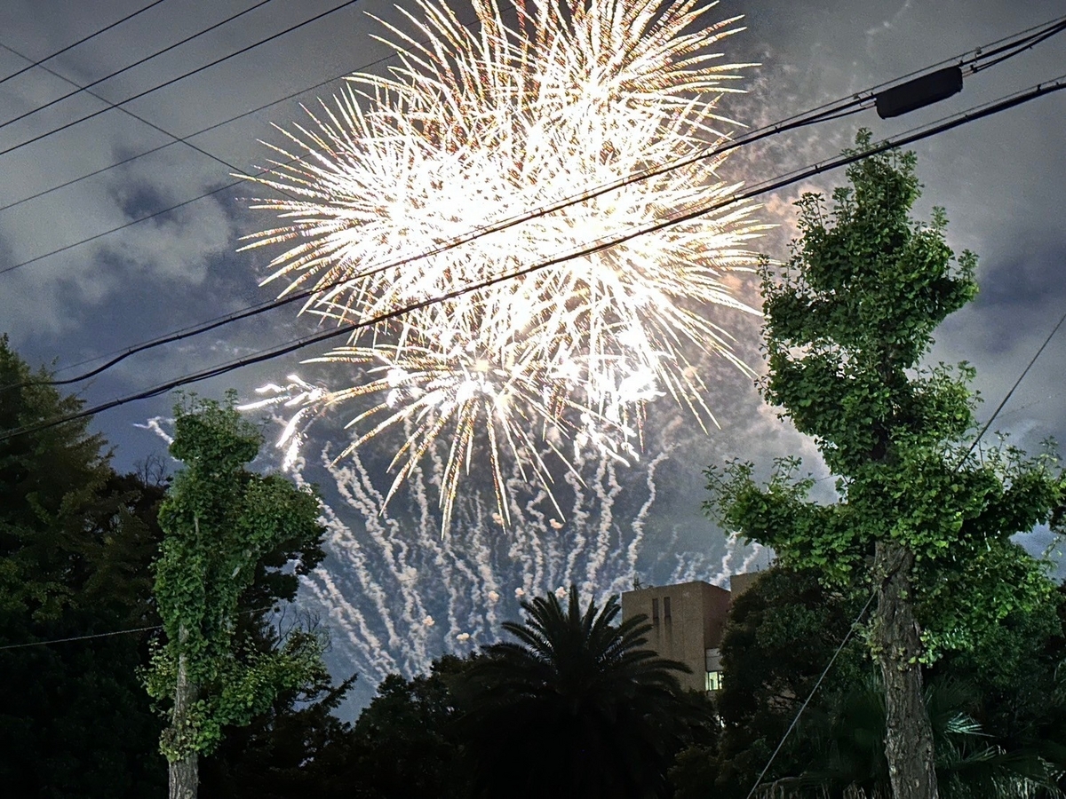 第55回東海まつり花火大会の東海市役所前からの花火の見え方