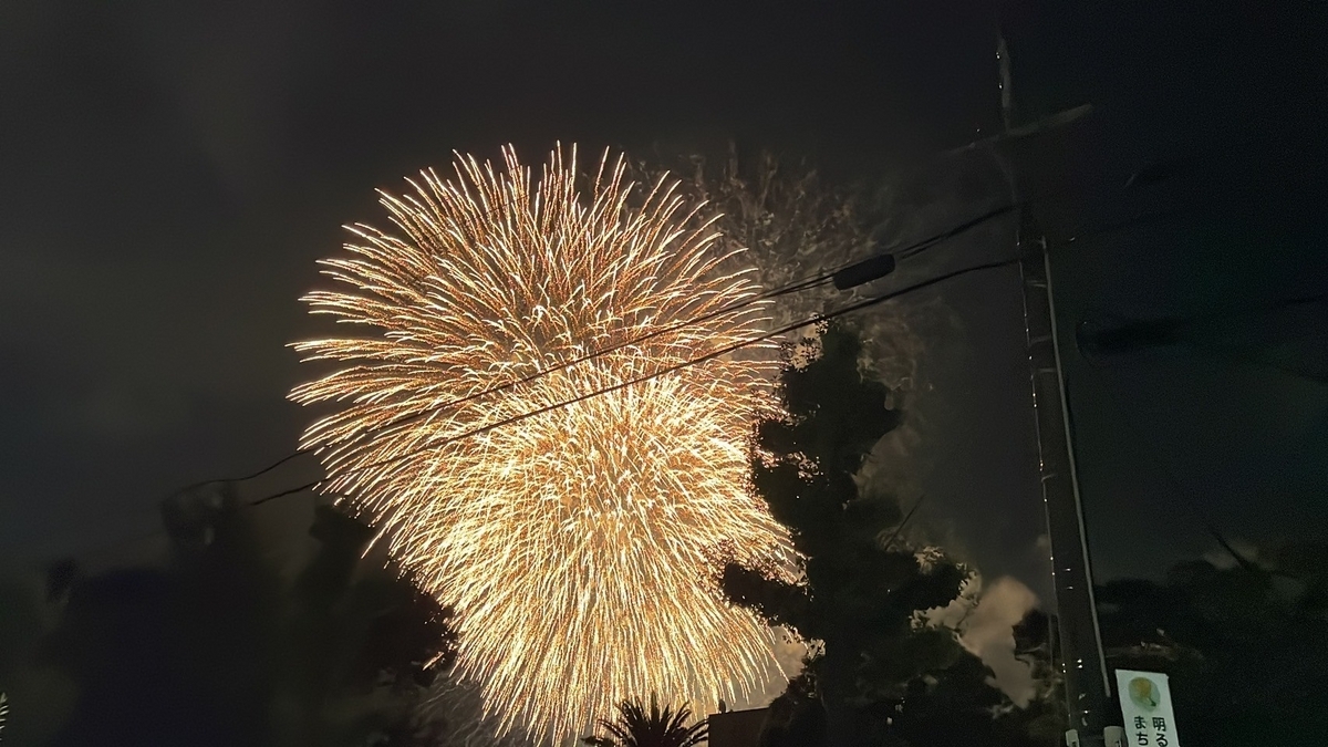 第55回東海まつり花火大会の東海市役所前からの花火の見え方