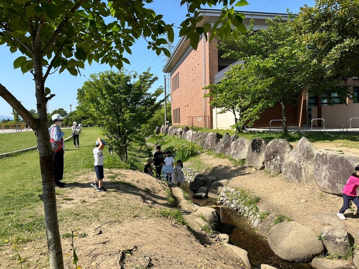 岐阜県瑞穂市の子どもの遊び場｜遊具が豊富な公園・サンコーパレットパークで川遊びをする子ども達