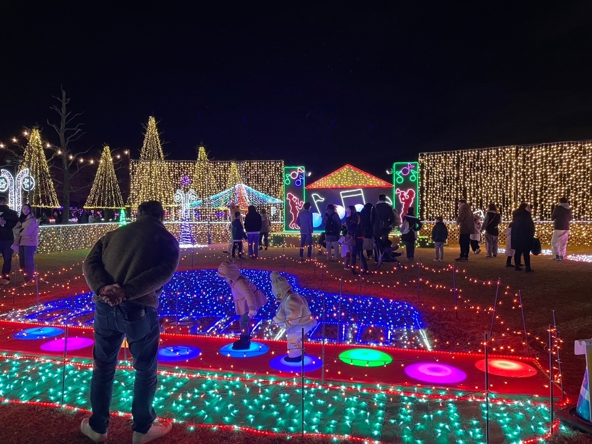 入園無料のイルミネーション｜岐阜県海津市にある木曽三川公園のウィンターイルミネーション2024の森の音楽祭